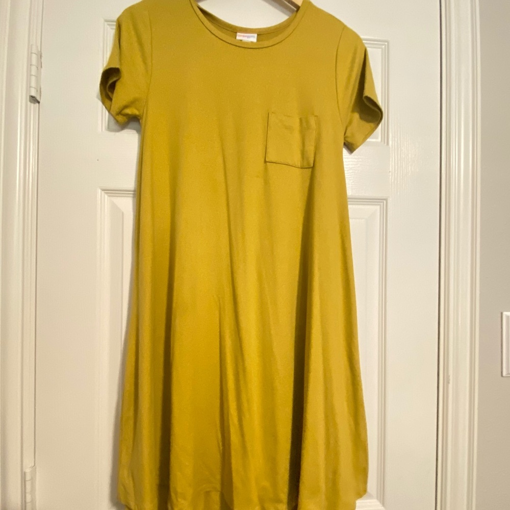 LulaRoe Carly dress